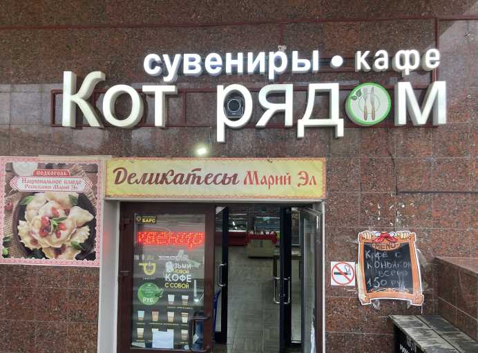Кот рядом