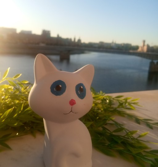 baby-cat