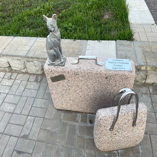 кошка на чемодане
