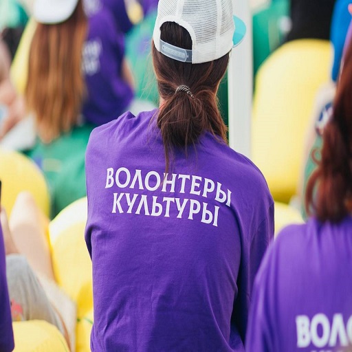 волонтеры культуры марий эл